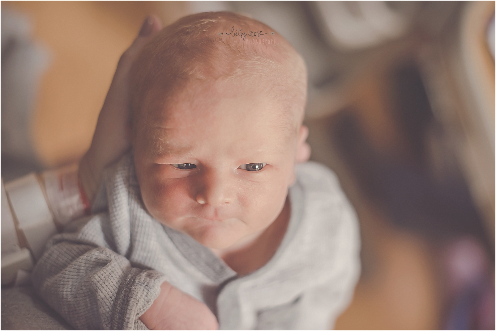 Des Moines Newborn Photographer